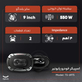 اسپیکر خودرو پایونیر مدل TS-6975 مجموعه 2 عددی